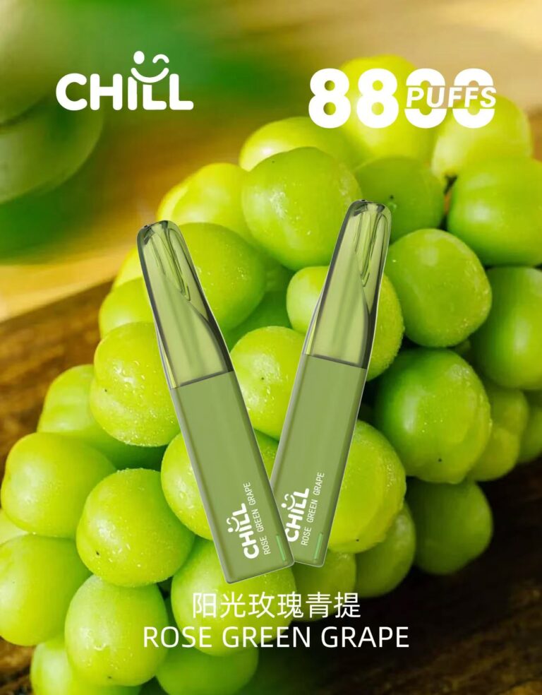 鴨嘴獸CHILL 8800口隨身電子煙
